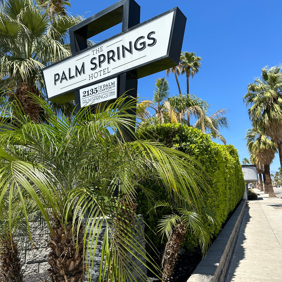 Palm Springs Girls’ Trip: Where to Stay, Eat & What to Do