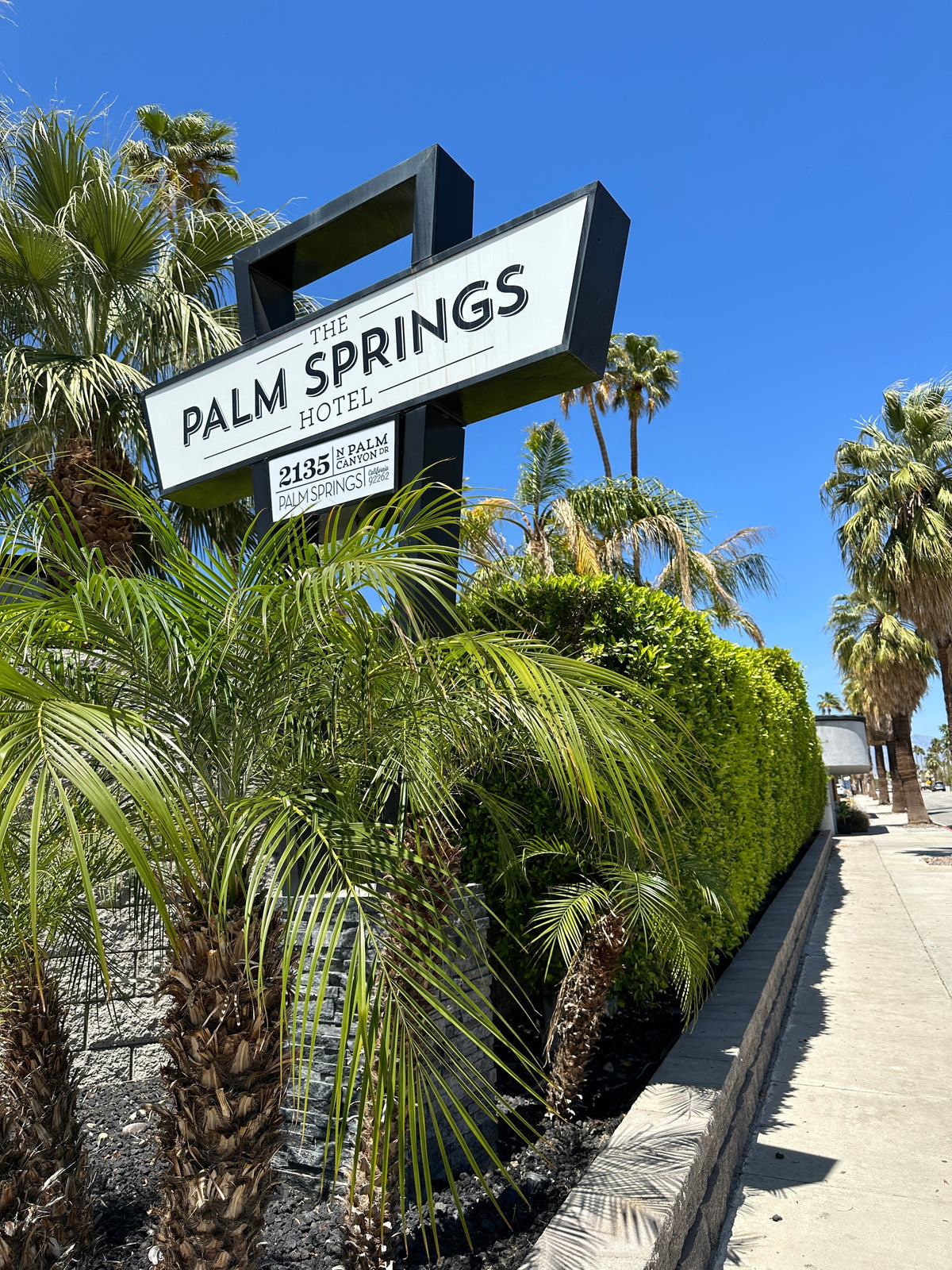 Palm Springs Girls’ Trip: Where to Stay, Eat & What to Do